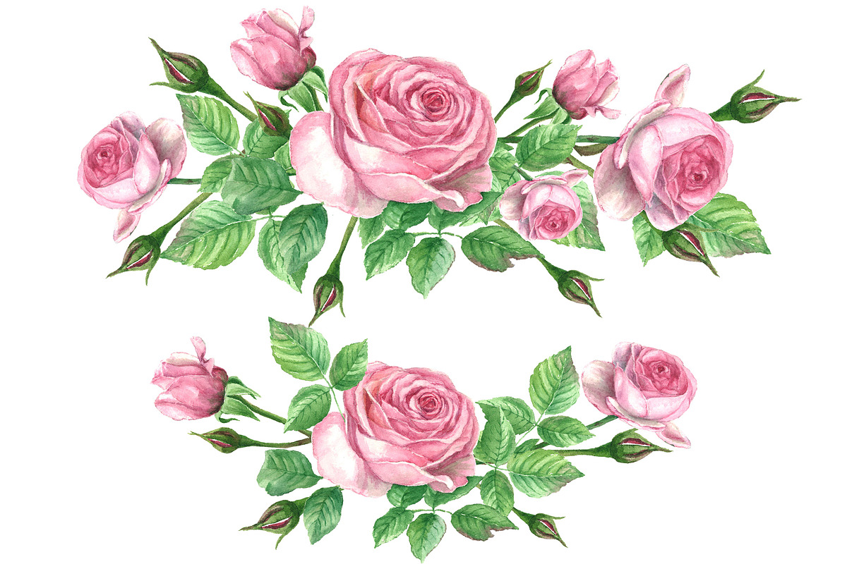 Roses@Bird Watercolor Clipart, a Decorative Illustration by IrStepShop (Photo 4 of 5)