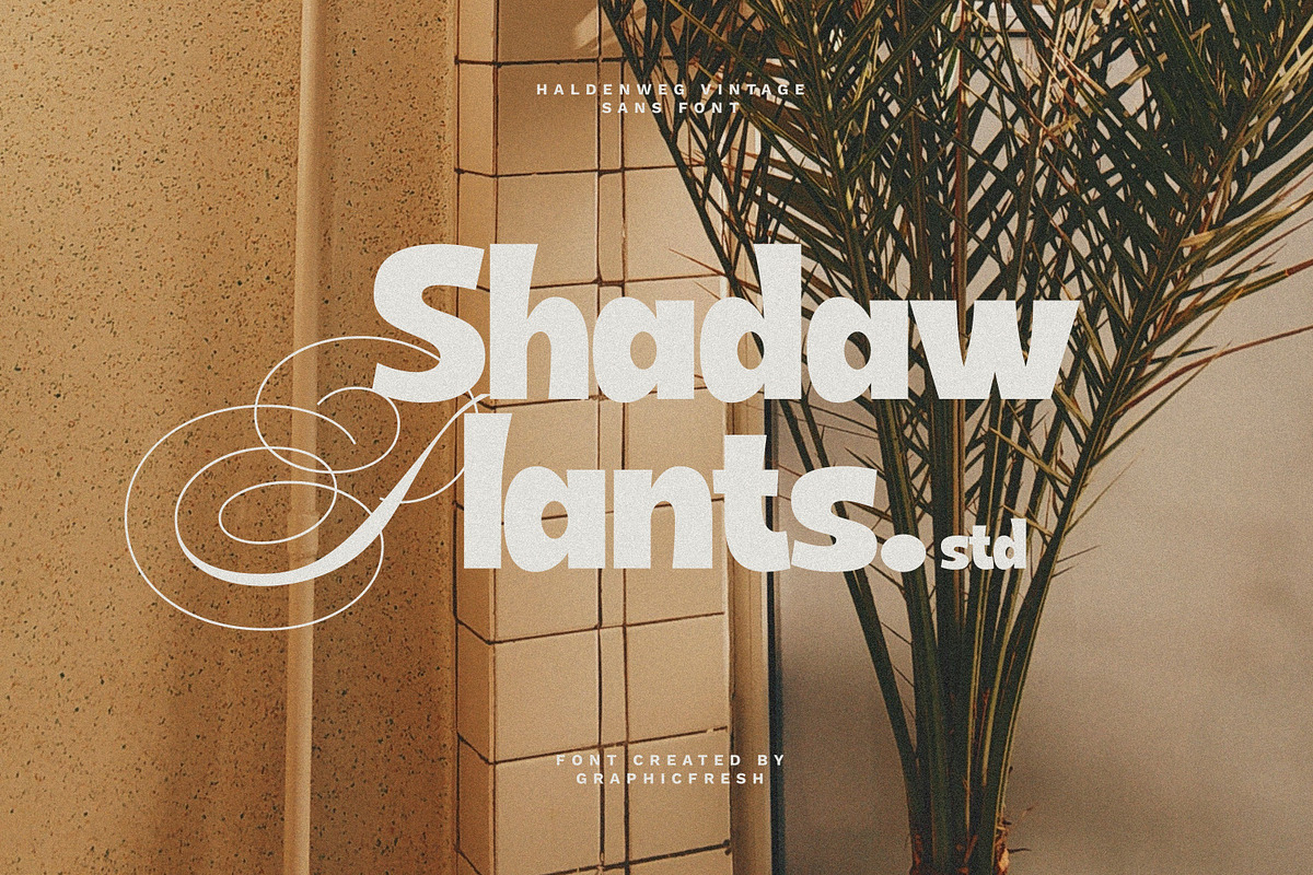 Haldenweg - Bold Retro Sans, a Sans Serif Font by Graphicfresh (Photo 5 of 8)