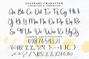 Angelina Signature, a Handwritten Font by FreshTypeINK (Thumbnail 8 of 8)