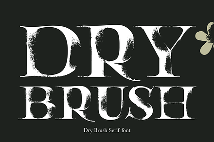 Dry Brush Serif font, a Serif Font by kaer_shop