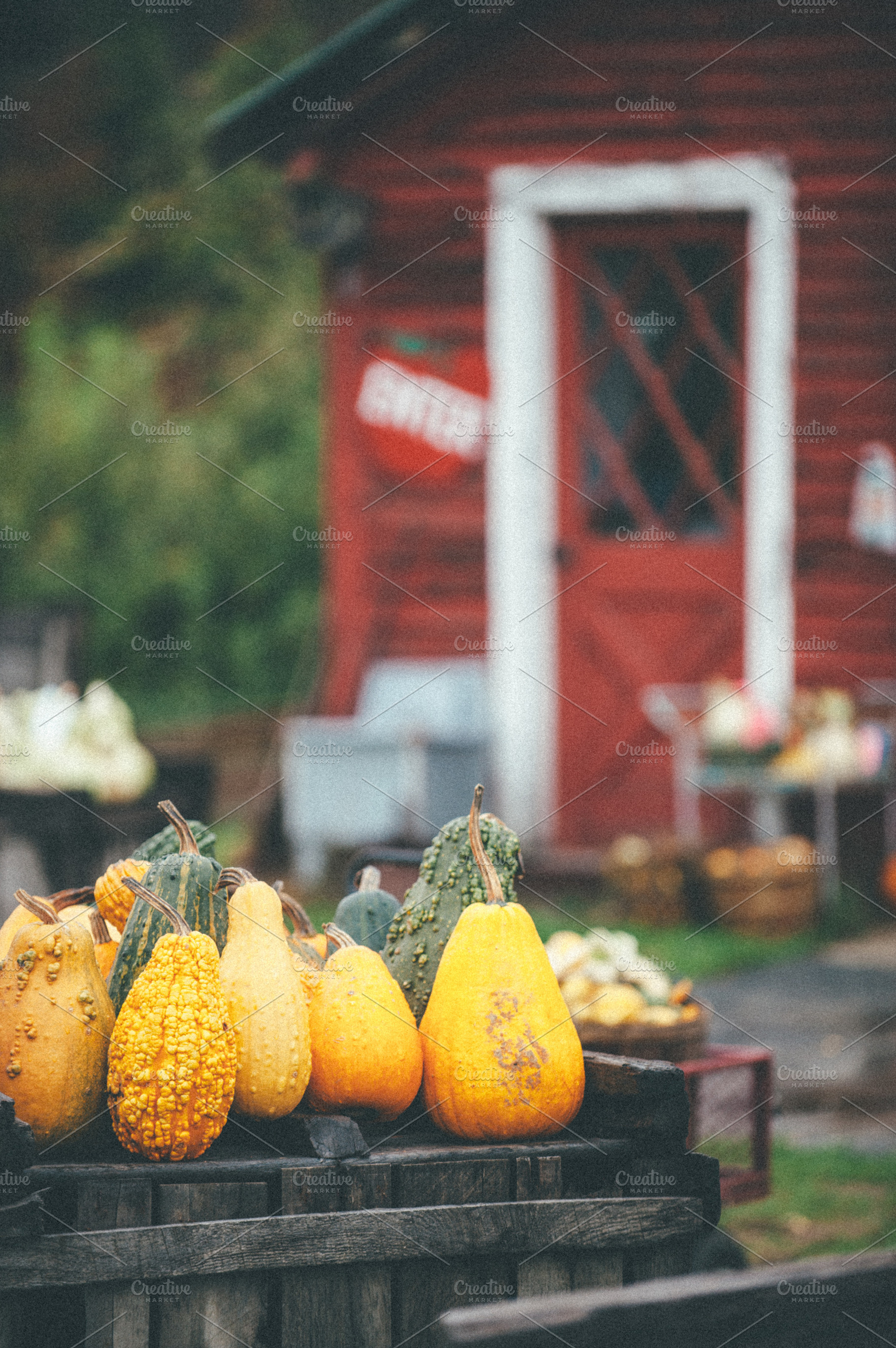 Fall Farmers Market, a Nature Photo by Nine Photography