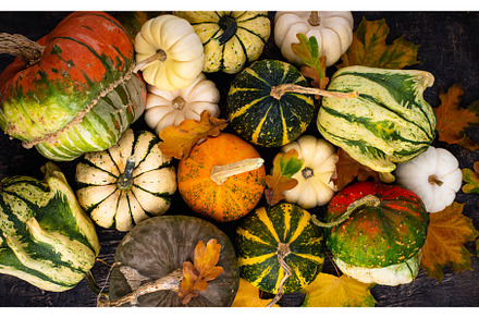 Autumn fall background with pumpkins, a Holiday Photo by Yulia Furman