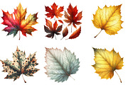 Watercolor Autumn Leaf Clipart, an Illustration by DreamArtGraphic (Thumbnail 5 of 6)