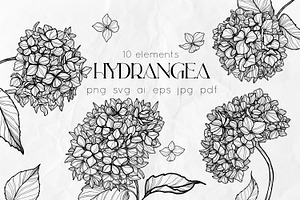 Hydrangea Flowers Line Art SVG, a Decorative Illustration by Dervik Art Store