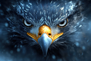 Majestic Eagle Closeup Powerful Gaze, an Animal Photo by Pixeness Studio