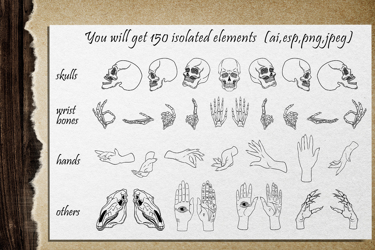 MAGIC collection - Vector ClipArt, an Animal Illustration by Evgenia Pichkur (Photo 2 of 12)