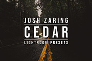 CEDAR LIGHTROOM PRESETS, an Action Add-On by Josh Zaring Studios (Thumbnail 2 of 20)