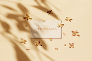100 Handcrafted Logo Templates, a Branding & Logo Template by Ayya Studio (Thumbnail 3 of 25)