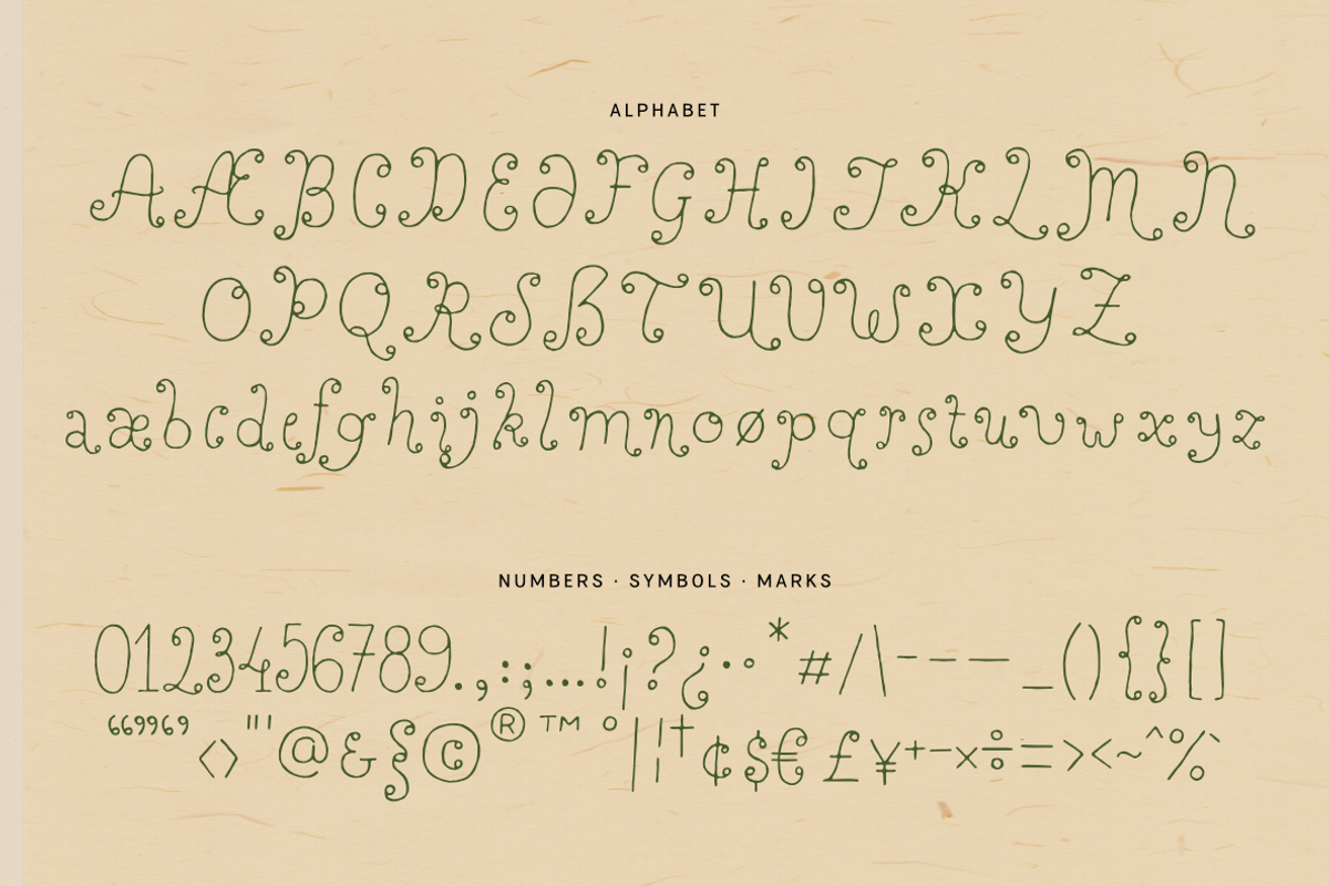 Perfect Sprouts | Whimsical Font, a Handwritten Font by type peace (Photo 18 of 20)