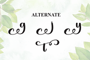 Misterday | Script Font, a Handwritten Font by Scratchones (Thumbnail 8 of 9)