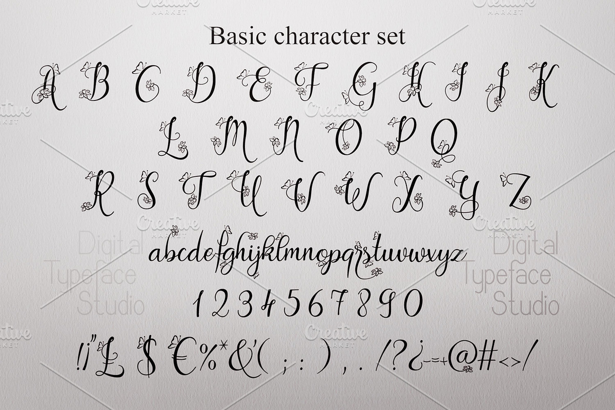 Gloryta, a Script Font by Digital Typeface Studio (Photo 2 of 7)