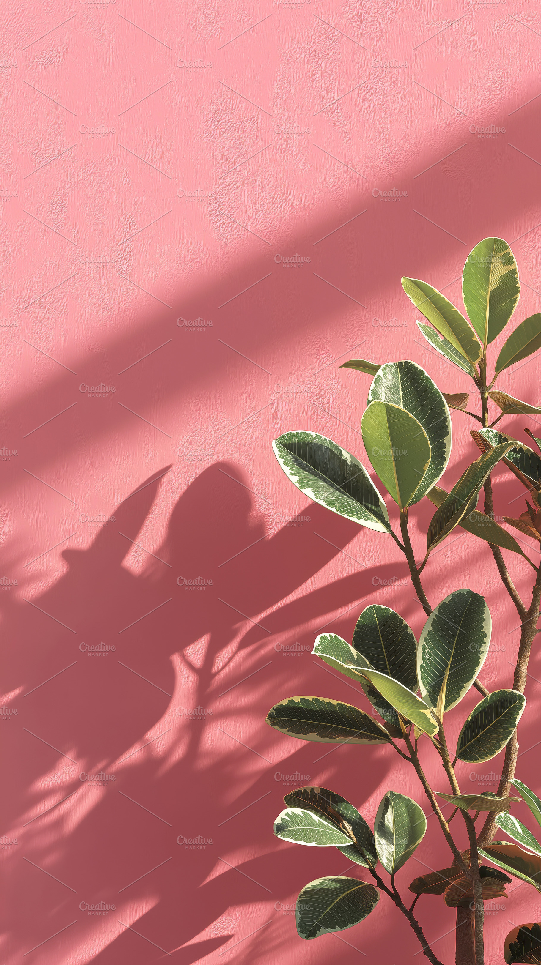 Rubber Plant on Pink Guava, a Background Photo by Ocean Digital Art