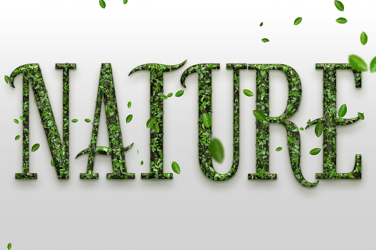 Linden - Elegant Decorative Serif, a Serif Font by OWPictures (Photo 7 of 9)