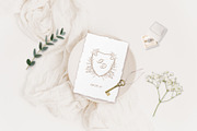 Birth-Flowers. Trendy Plants, Logos, a Seasonal Illustration by Designwork (Thumbnail 11 of 21)