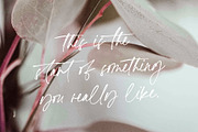 Eastern Stories Handwritten Font, a Script Font by VladCristea (Thumbnail 8 of 15)