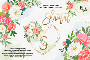 Watercolor Floral Graphic Set