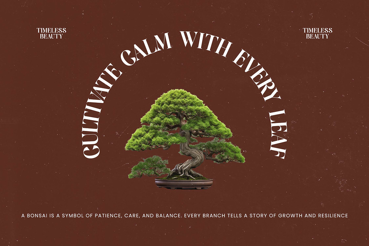 Single Robusta Modern Display Serif, a Serif Font by timelesstype.co (Photo 2 of 20)