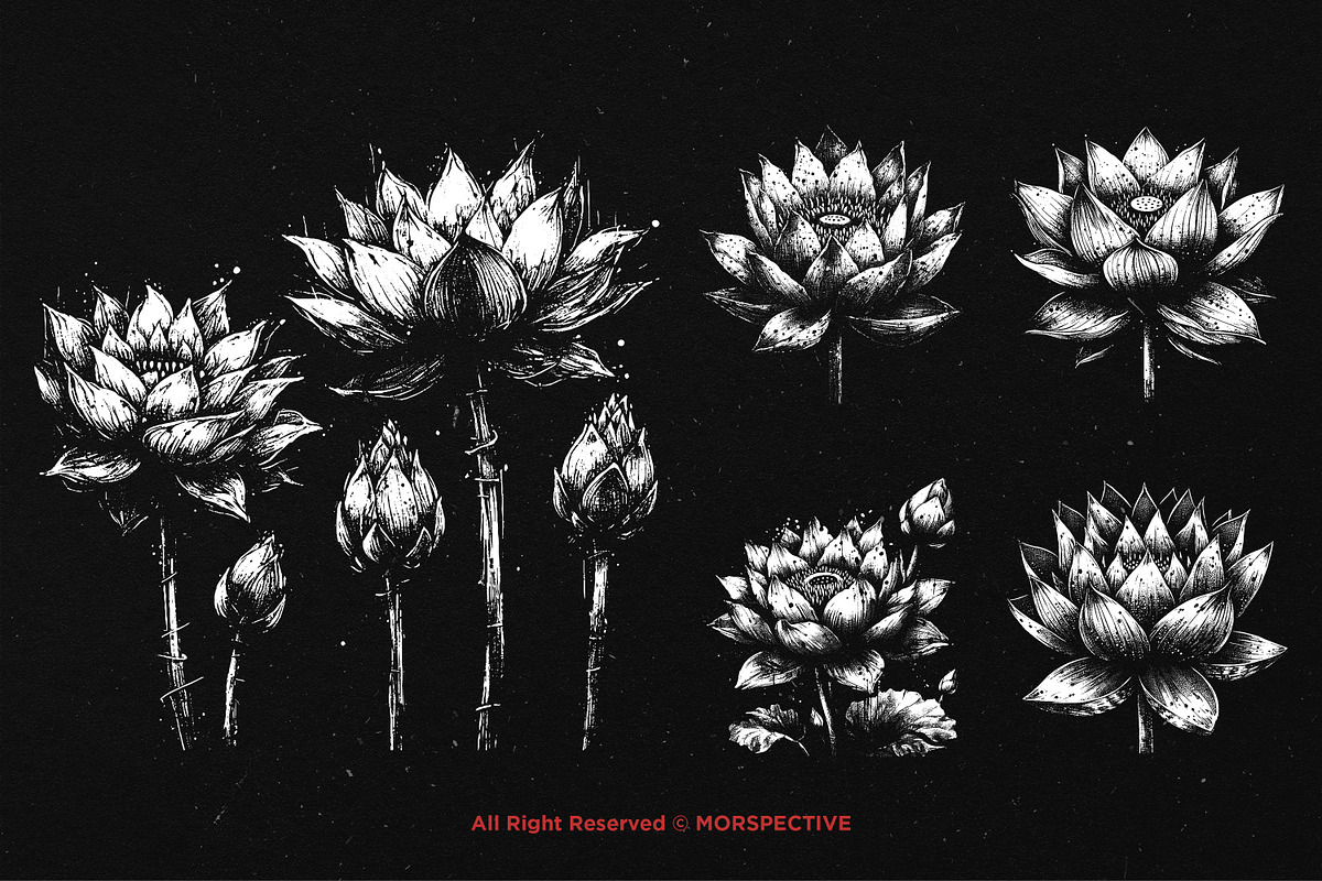 10 Bundle Dark Art Lotus Flower, an Illustration by Morspective (Photo 5 of 7)