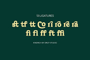 Kindrich – Vintage Serif Font, a Sans Serif Font by Drizy (Thumbnail 4 of 10)