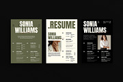Professional Resume Kit Template, a Resume Template by DesignCrest (Thumbnail 7 of 8)