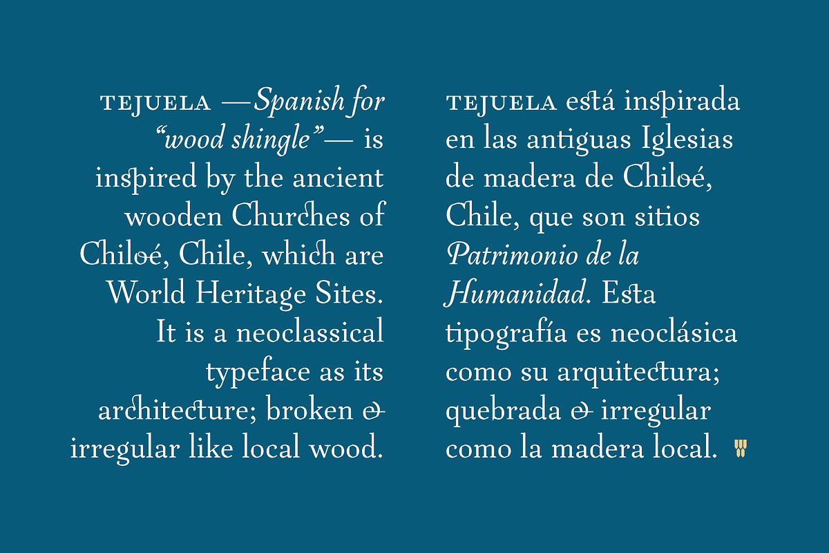 LC Tejuela, a Serif Font by CTCH (Photo 13 of 13)