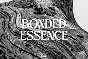 Slabery, a Serif Font by Zaloma Studio (Thumbnail 3 of 18)