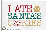 Funny Christmas Dog SVGs, an Object Graphic by BeeCraftR (Thumbnail 9 of 18)
