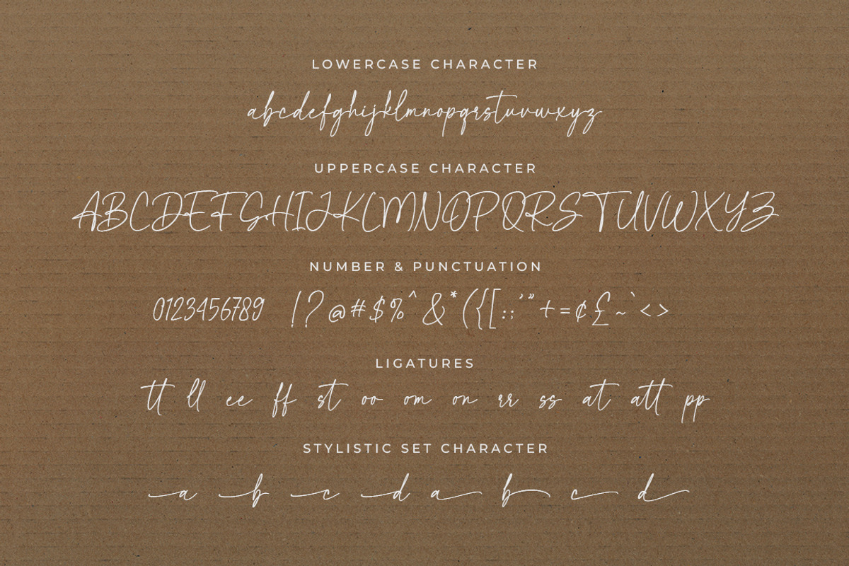Mixed Feeling - Handwritten Script, a Script Font by Bluestype Studio (Photo 9 of 9)