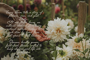Darling Moment vintage script font, a Script Font by TD fonts (Thumbnail 3 of 10)