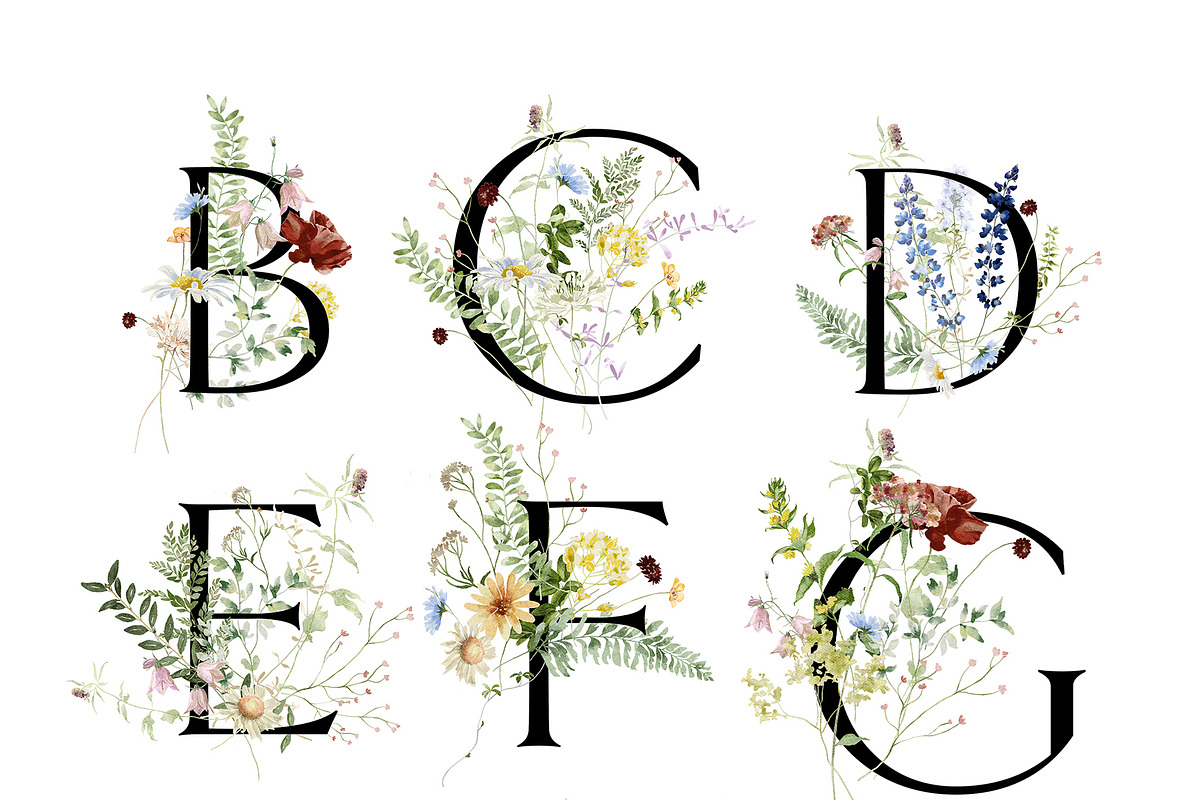l'Herbolario - Wild Floral Graphics, an Illustration by studioequinox (Photo 12 of 14)