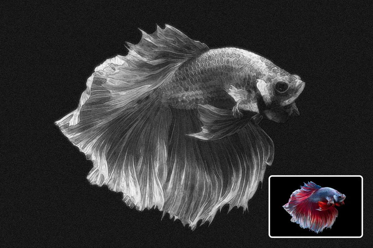 Pencil Drawings Effect Photoshop, a Layer Style Add-On by Hubzway (Photo 7 of 7)