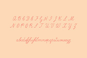 Fribois Monoline Script, a Script Font by Bart Wesolek (Thumbnail 2 of 7)