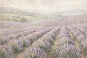 Serene Lavender Field Wallpaper, a Decorative Illustration by Virgo Studio