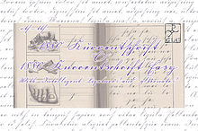 1880 Kurrentschrift Set (+Kur. Easy)