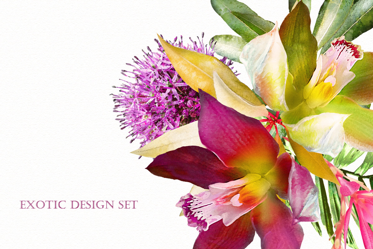 Tropical collection. Summer design., a Decorative Illustration by Lisima (Photo 18 of 19)