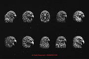 10 Bundle Dark Art Hawk Head Bird, an Illustration by Morspective (Thumbnail 6 of 7)