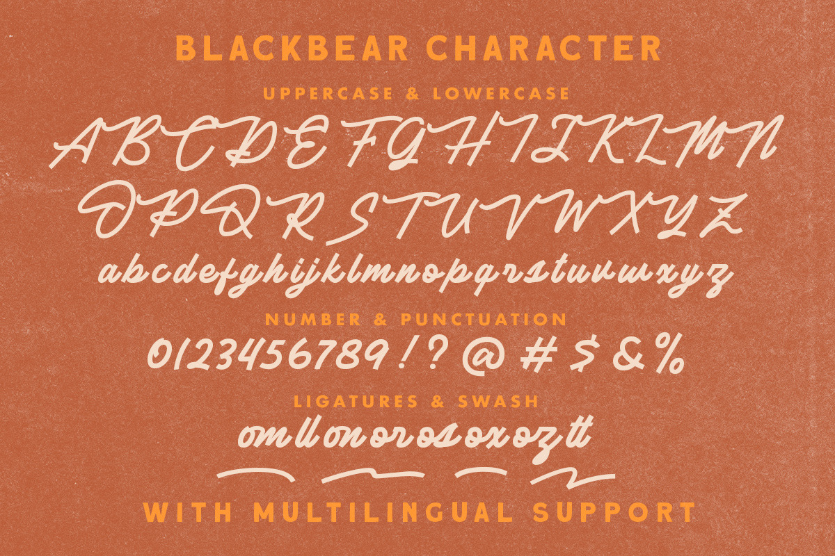 Blackbear - Monoline Script, a Script Font by Letterhend Studio (Photo 7 of 8)