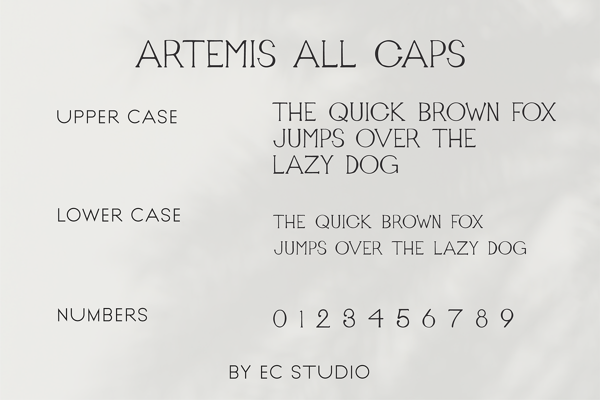 Artemis - Handwritten Serif, a Serif Font by Ellen Carty Design (Photo 3 of 11)