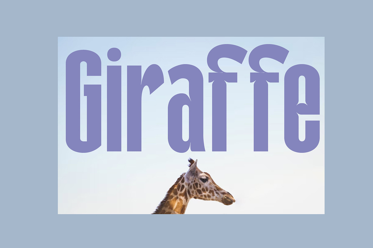 Galfego Condensed Sans Serif, a Sans Serif Font by Craft Supply Co. (Photo 11 of 12)
