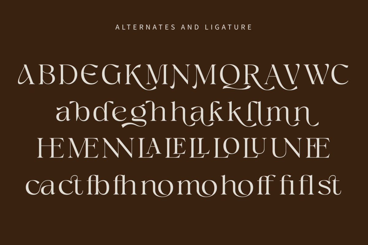 Megalky | Modern Elegant Serif Font, a Serif Font by Rissyletter Studio (Photo 11 of 12)