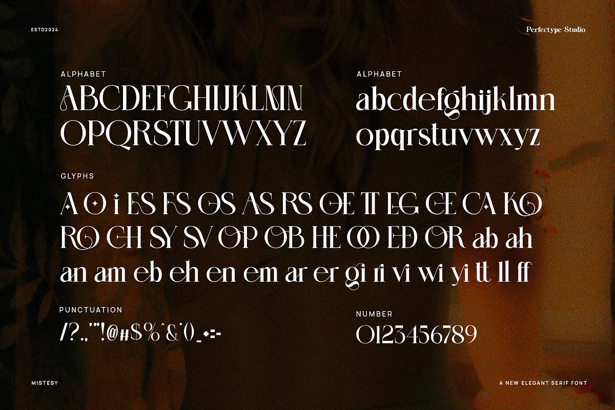Mesko Ligature Serif Font, a Serif Font by Perfectype (Photo 7 of 8)