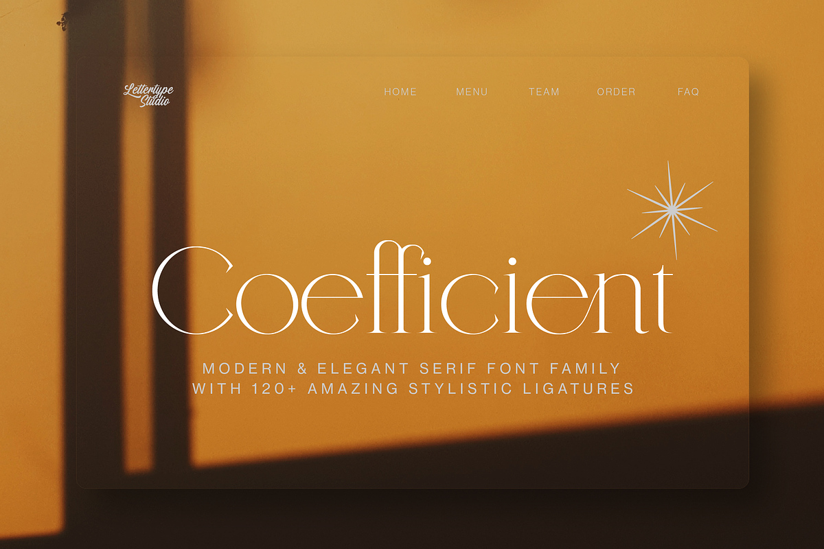 Coefficient Modern & Elegant Serif, a Serif Font by Lettertype Studio (Photo 10 of 18)