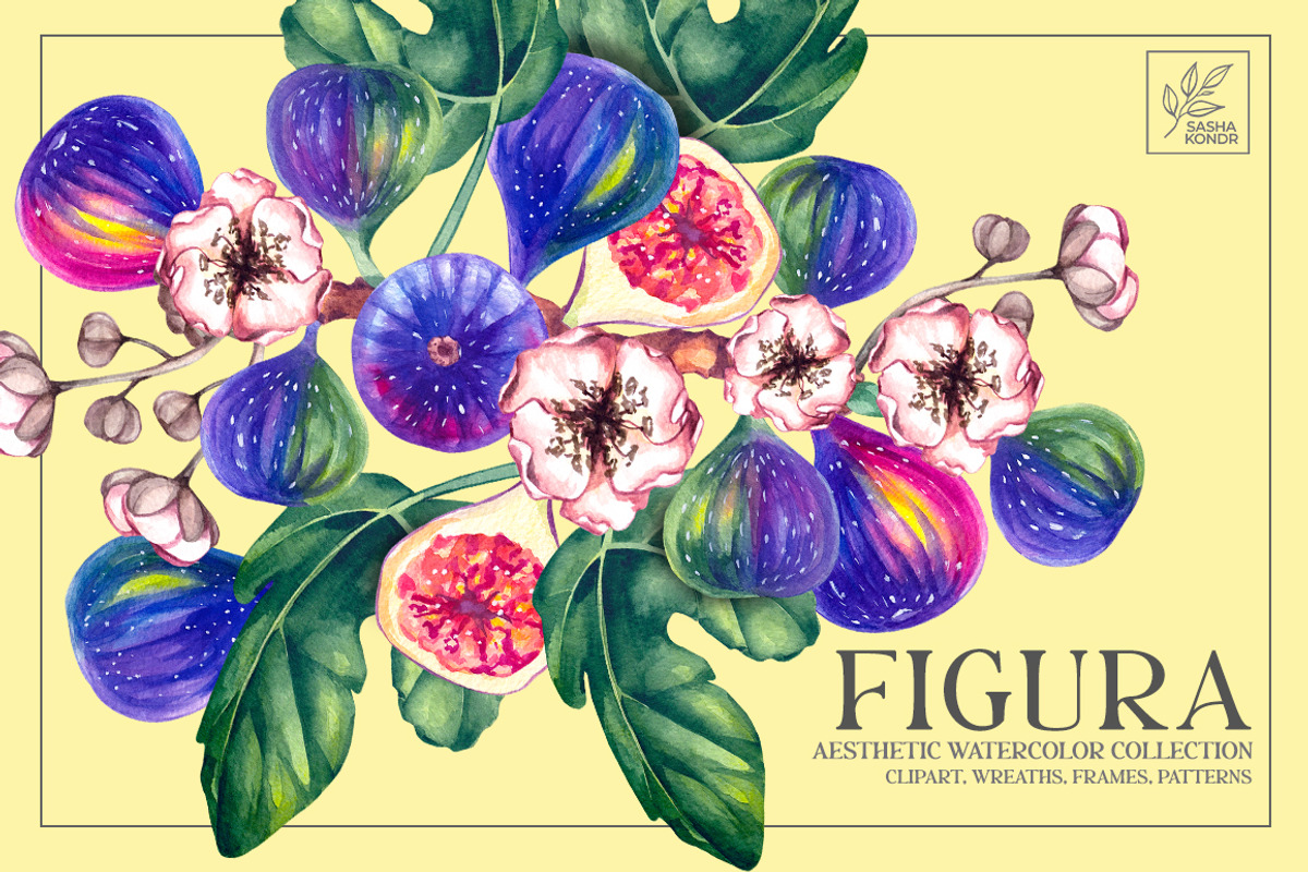 Figura Fig Plant Watercolor clipart, a Food Illustration by SashaKondr (Photo 1 of 12)