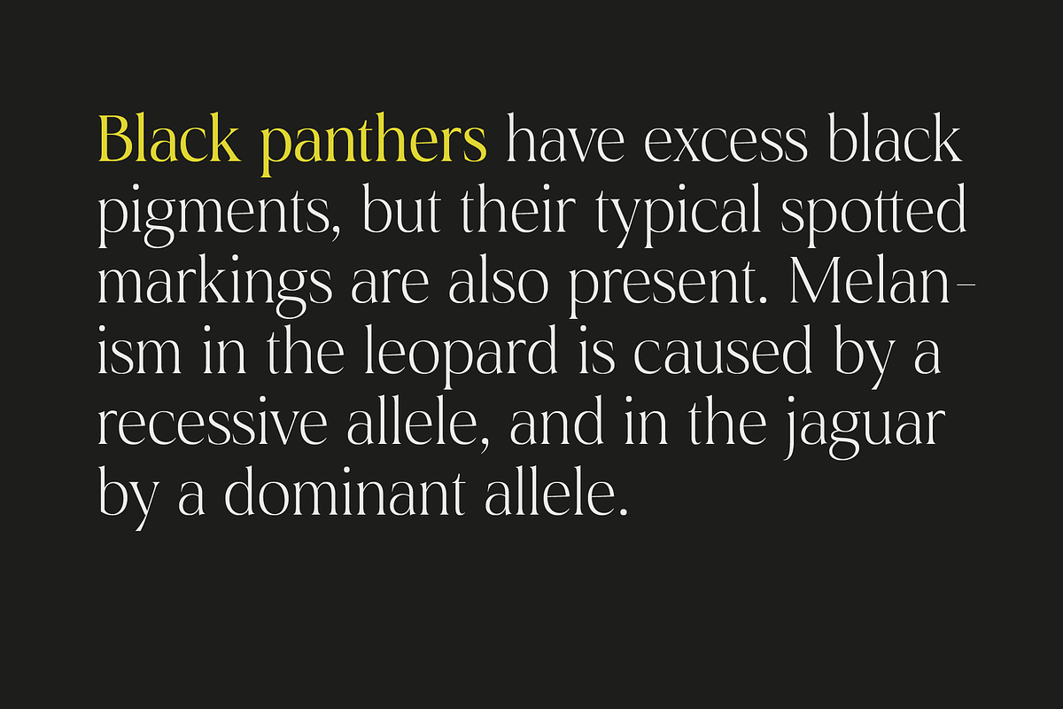 Montas - 7 Fonts, a Serif Font by Nasir Udin (Photo 11 of 16)