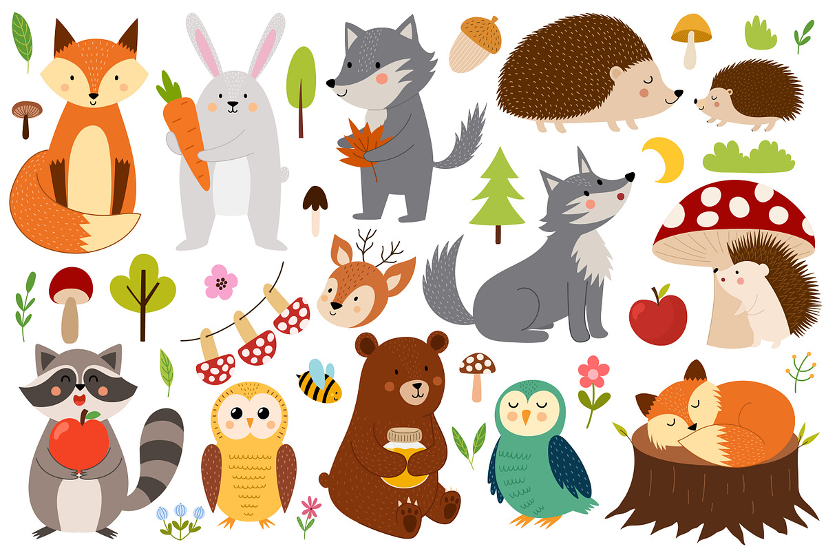 Cute Forest Animals Big Collection, an Animal Illustration by Gulnara Sabirova (Photo 7 of 16)