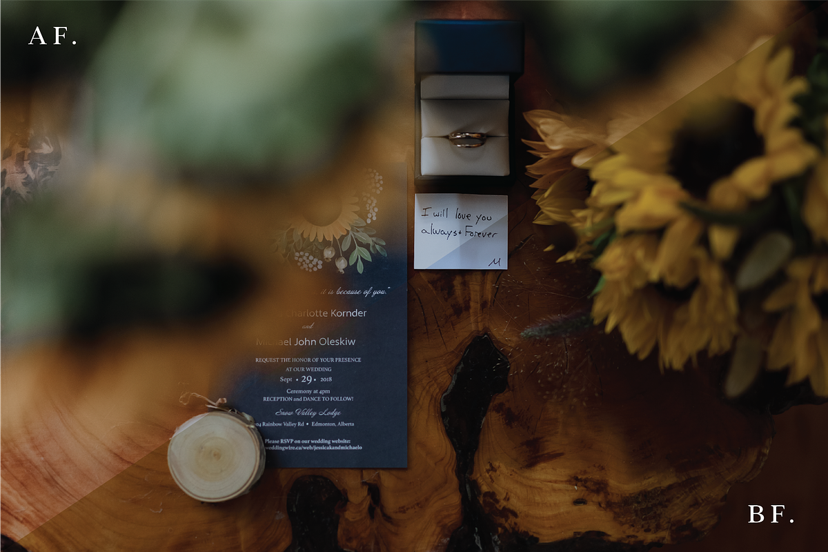ROMANTIC LIGHTROOM & MOBILE PRESET, an Action Add-On by Darling Josephine (Photo 2 of 6)