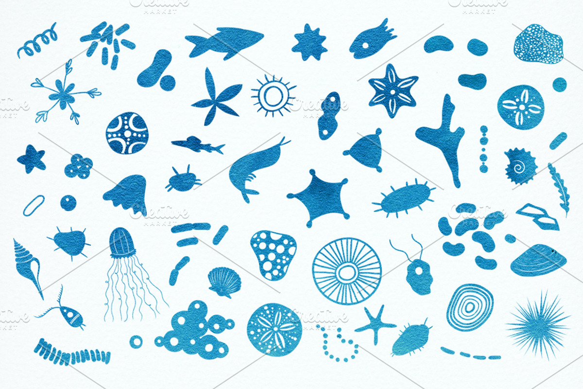 Ocean is calling: nautical clipart, an Animal Illustration by harmonia_green_art (Photo 4 of 9)