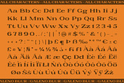 Galeno Blur, a Serif Font by Craft Supply Co. (Thumbnail 8 of 8)