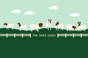 The boer goats