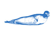 Vector Seal Etched Illustration, an Illustration by Theresa Barba (Thumbnail 2 of 2)